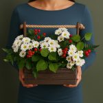 Цветы в деревянных ящиках